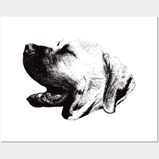 Boerboel gift for Boerboel Owners Posters and Art